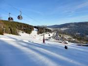 I - World Cup Run
