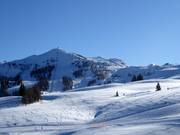 View over the Steinplatte ski area