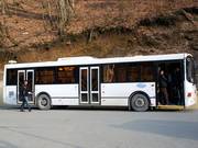 Regularly operating buses help to protect the environment