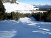 Ski resorts for advanced skiers and freeriding Fiemme Mountains – Advanced skiers, freeriders Oclini