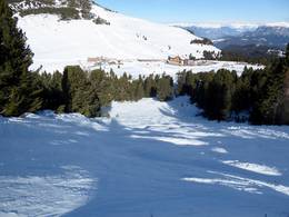 Oclini