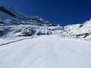Difficult slope Aigle (Zinal)