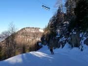 Alm descent