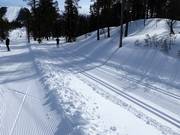Trail in Tandådalen