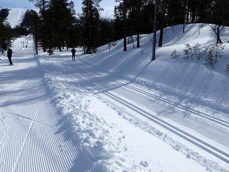 Cross-country skiing Sälen – Cross-country skiing Tandådalen/Hundfjället (Sälen)