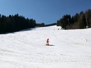 Laleto 1 slope