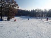 Ski slope Landsberied