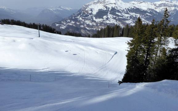 Ski resorts for advanced skiers and freeriding Prättigau – Advanced skiers, freeriders Grüsch Danusa