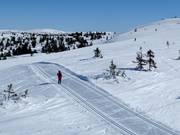 Cross-country trails in Hafjell