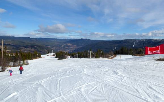 Skiing near Gol