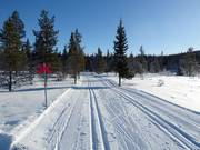 Trail in Högfjället (Sälen)