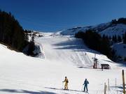 Alpage downhill run in Les Carroz