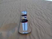Tracks in the sand