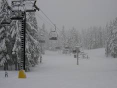 Photos Timberline