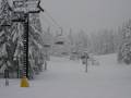Photos Timberline