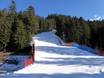 Ski resorts for advanced skiers and freeriding Alpe Cimbra – Advanced skiers, freeriders Lavarone