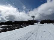 Piper T-Bar - T-bar