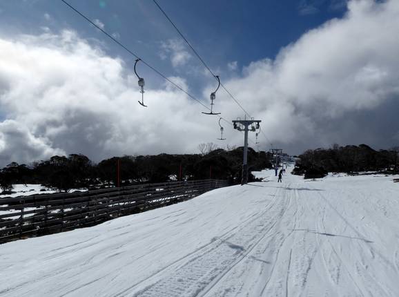Piper T-Bar