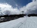Piper T-Bar