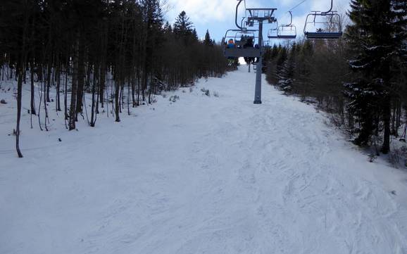 Ski resorts for advanced skiers and freeriding Rohrbach – Advanced skiers, freeriders Hochficht