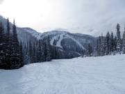 Ski run Sluice Box