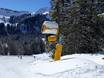 Snow reliability Oberstdorf/Kleinwalsertal – Snow reliability Ifen