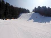 Lower section of the Lauberhorn World Cup downhill