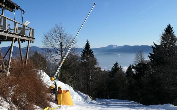 Snow reliability Hohenbogenwinkel – Snow reliability Hohenbogen – Neukirchen bei Hl. Blut