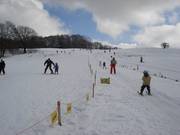 Ski slope overview