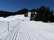 Madilsrunde cross-country trail (Alp Tannenboden)