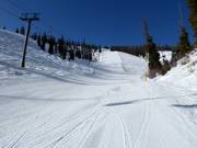 Piste Graduate