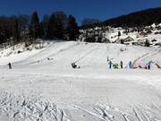 Toboggan Slope Wildhaus