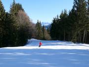 Family slope