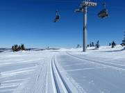Cross-country trails in Hafjell