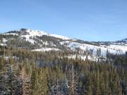 View of Mt. Judah