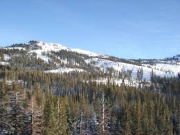Sugar Bowl