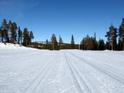 Trails in the Hellner Stadium
