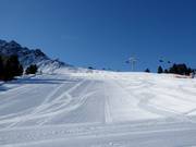 Goldsee slope