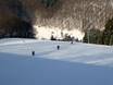 Slope offering Baden-Württemberg – Slope offering Bläsiberg – Wiesensteig