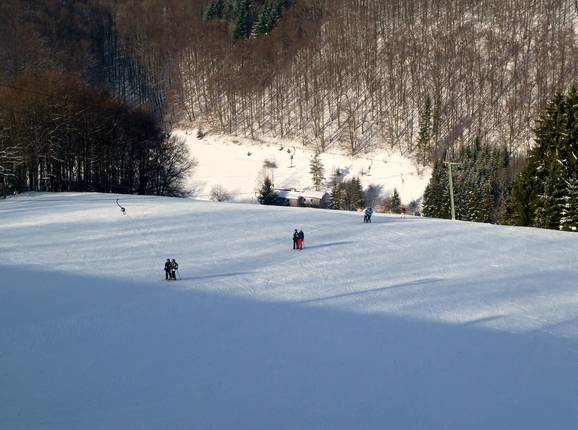 Family Slope upper section