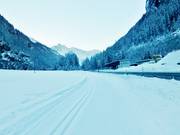 Trail in the valley