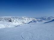 Endless expanses for heliskiing in Björkliden