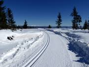 Trail on the Hochrindl