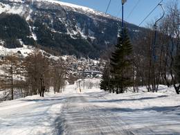 Erli Snowli