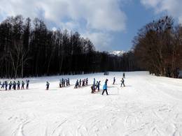 Furano