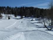 Cross-country trails on the Tauplitzalm