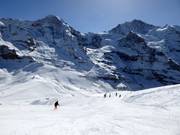 Lauberhorn World Cup Downhill