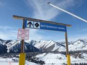 Bitterroot Bowl