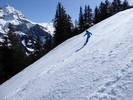 Adelboden/Lenk – Chuenisbärgli/Silleren/Hahnenmoos/Metsch