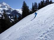 Challenging slope on the World Cup run Chuenisbärgli